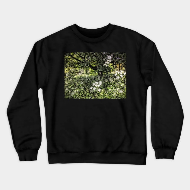 Summertime cow parsley Crewneck Sweatshirt by Dpe1974